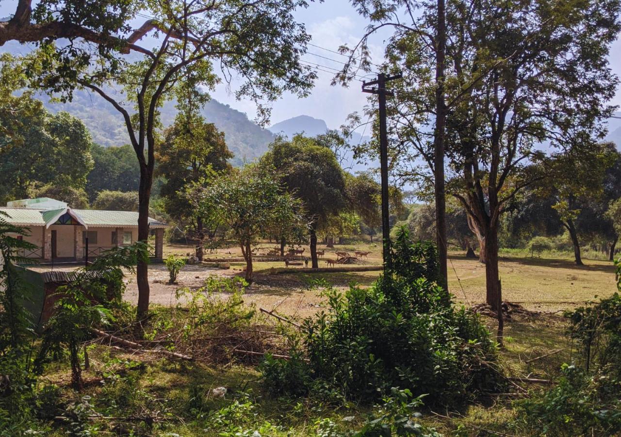 Wild Pastures By Nature Resorts And Stays Masinagudi Exterior foto